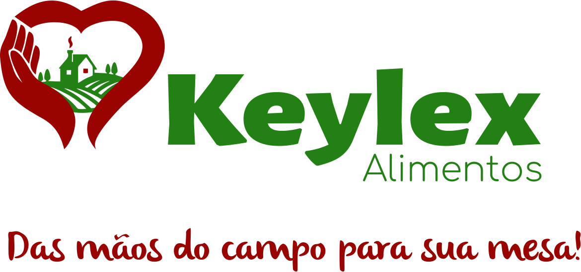 Keylex - Logo Padrão fundo Branco horizontal